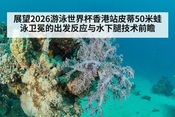 展望2026游泳世界杯香港站皮蒂50米蛙泳卫冕的出发反应与水下腿技术前瞻