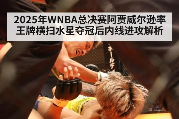 2025年WNBA总决赛阿贾威尔逊率王牌横扫水星夺冠后内线进攻解析